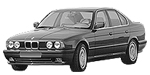 BMW E34 C212D Fault Code